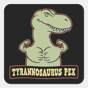 Adesivo Quadrado T-Pex