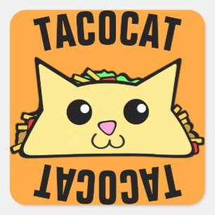 Adesivo Quadrado Taco Cat