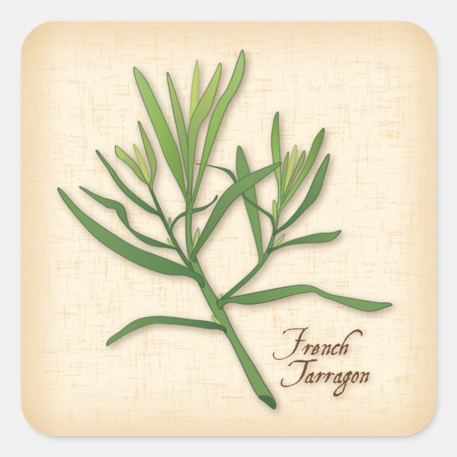 Adesivo Quadrado Tarragon Herb Stickers (Frente)