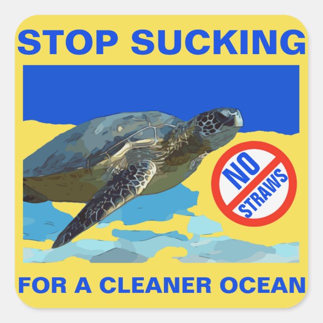 ADESIVO QUADRADO TARTARTARUGA MARÍTIMA (Frente)