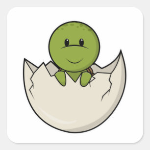 Adesivo Quadrado Tartaruga como Bebê com casca de ovo
