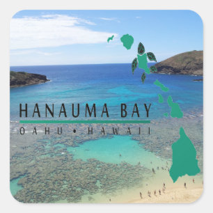 Adesivo Quadrado Tartaruga de Oahu da baía de Havaí Hanauma