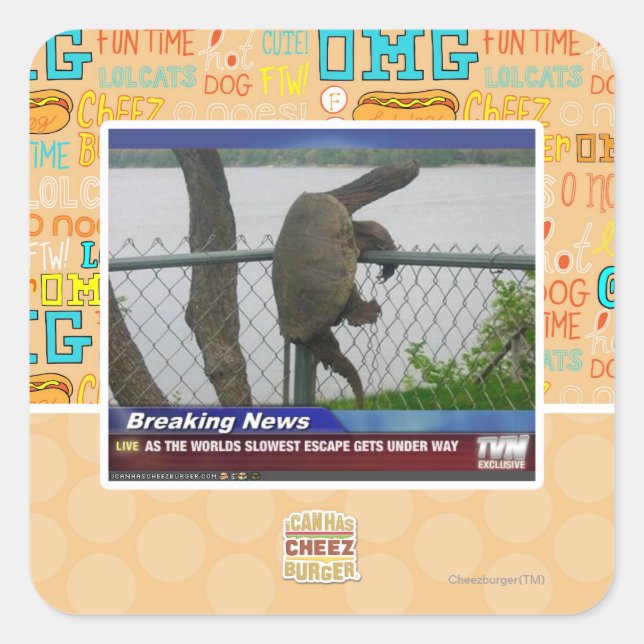 Adesivo Quadrado Tartaruga de saída (Frente)