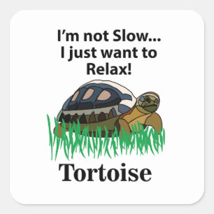Adesivo Quadrado Tartaruga Relax Animal Fofo Engraçado