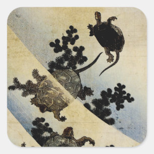 Adesivo Quadrado Tartarugas de Nado