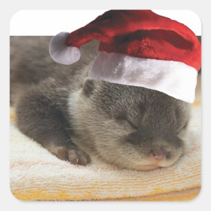 Adesivo Quadrado Tarte de Natal