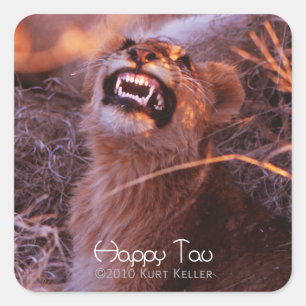 Adesivo Quadrado Tau feliz