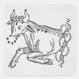 Adesivo Quadrado Taurus (Bull) uma ilustração 'do poético