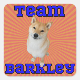 Adesivo Quadrado Team Barkley - Sticks Quadrados, Brilhante