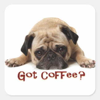 Adesivo Quadrado Tem café? Pug Sticker