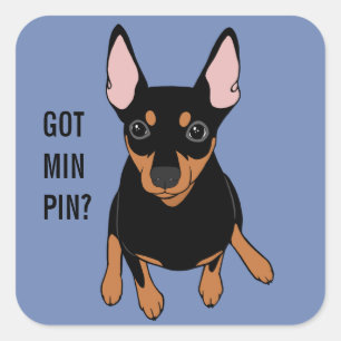 Adesivo Quadrado Tem Min Pin? Vinheta Miniatura Pinscher (Preto)