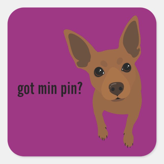 Adesivo Quadrado Tem Min Pin? Vinheta Miniatura Pinscher (Vermelho) (Frente)