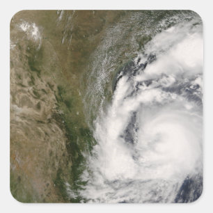 Adesivo Quadrado Tempestade tropical Dolly