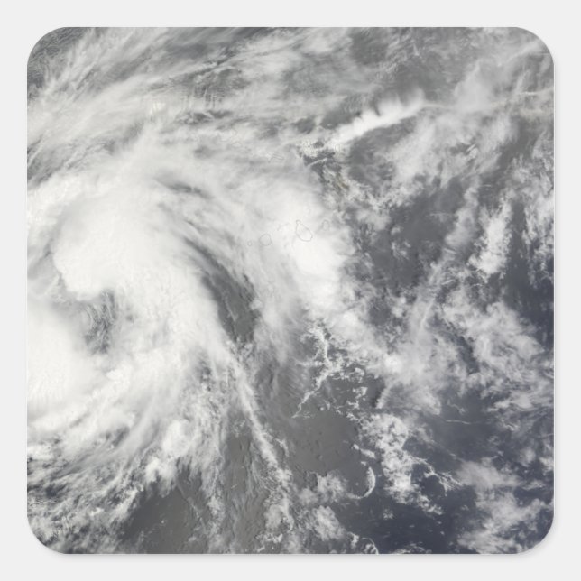 Adesivo Quadrado Tempestade tropical Josephine (Frente)
