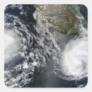 Adesivo Quadrado Tempestades Tropicais Blas e Celia