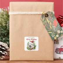 Tenha Um Urso Polar Feliz De Natal Engraçado