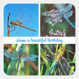 Adesivo Quadrado Tenham uma bela Dragonfly Artística de Aniversár