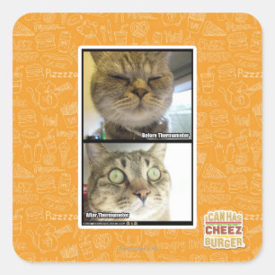 Adesivo Quadrado Termômetro