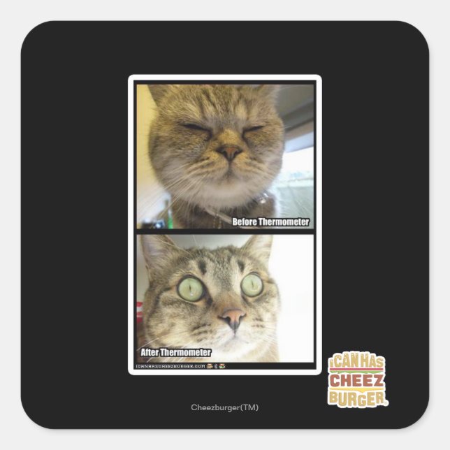 Adesivo Quadrado Termômetro (Frente)