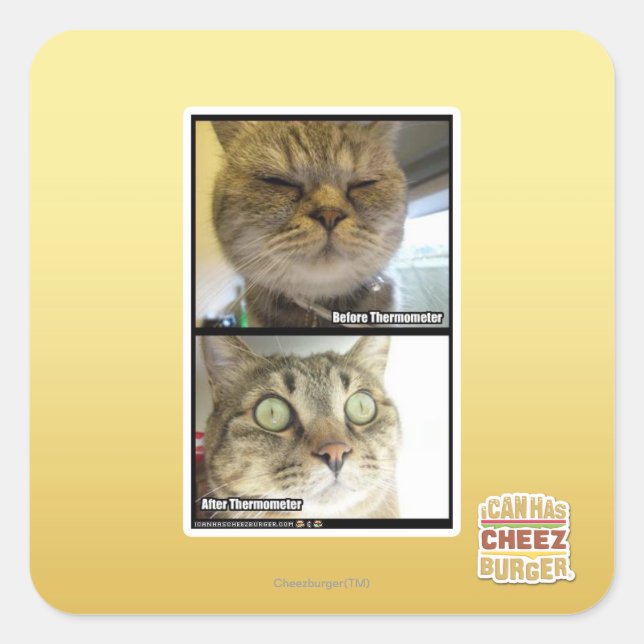 Adesivo Quadrado Termômetro (Frente)