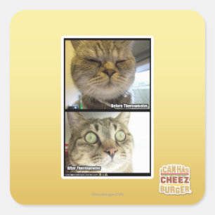 Adesivo Quadrado Termômetro