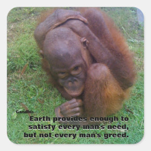 Adesivo Quadrado Terra e citações inspiradores da avidez