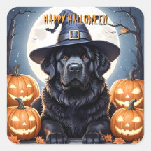 Terra Nova Halloween