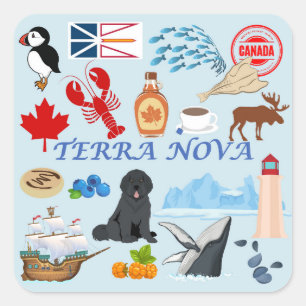 Adesivo Quadrado  Terra Nova Terra Nova