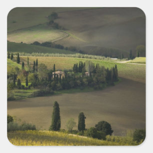 Adesivo Quadrado Terra rural em torno de Montepulciano, Toscana, It