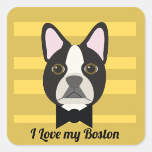 Adesivo Quadrado Terrier de Boston