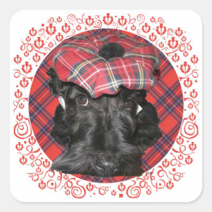 Adesivo Quadrado Terrier escocês no Tartan