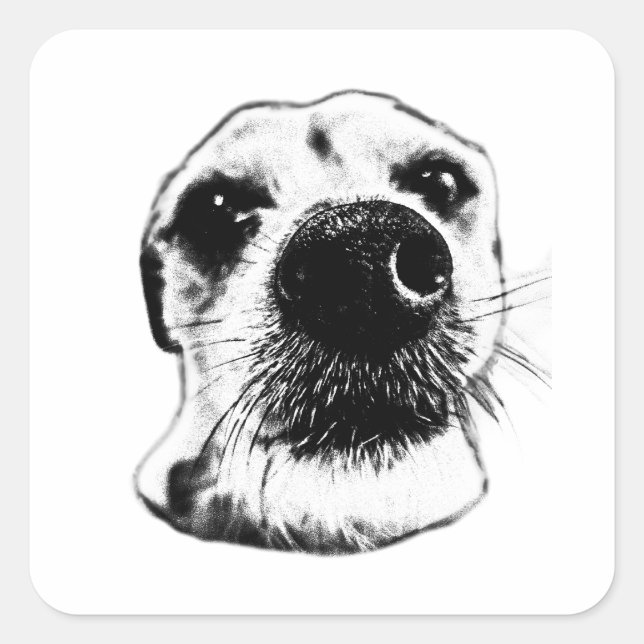 Adesivo Quadrado Terrier Nose Sticker – Up Close & Adorable (Frente)