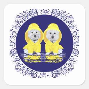 Adesivo Quadrado Terriers Brancos do West Highland na Chuva