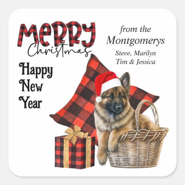 Adesivo Quadrado Tervuren Belga Xadrez de Buffalo (Frente)