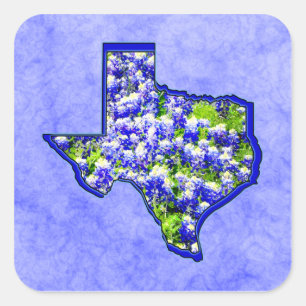 ADESIVO QUADRADO TEXAS BLUEBONNETS