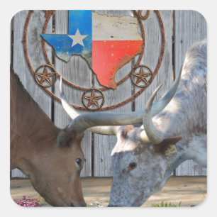 Adesivo Quadrado Texas Longhorns Love