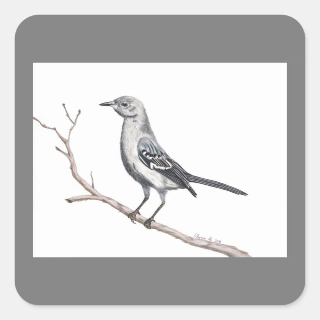 Adesivo Quadrado Texas Mockingbird Sticker (Frente)