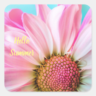 Adesivo Quadrado Texto de Hello Summer com Flor