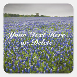Adesivo Quadrado Texto Personalizado Azul Primavera Bluebonnets Tex