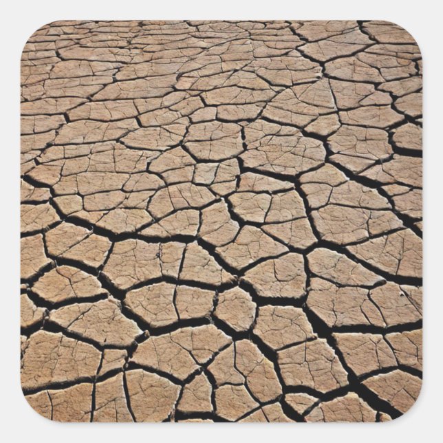 Adesivo Quadrado Textura do deserto (Frente)