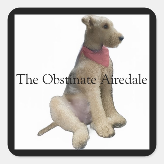 Adesivo Quadrado The Obstinate Airedale Sticker (Frente)