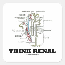 Adesivo Quadrado Think Renal (Ilustração da Anatomia do Nephron)