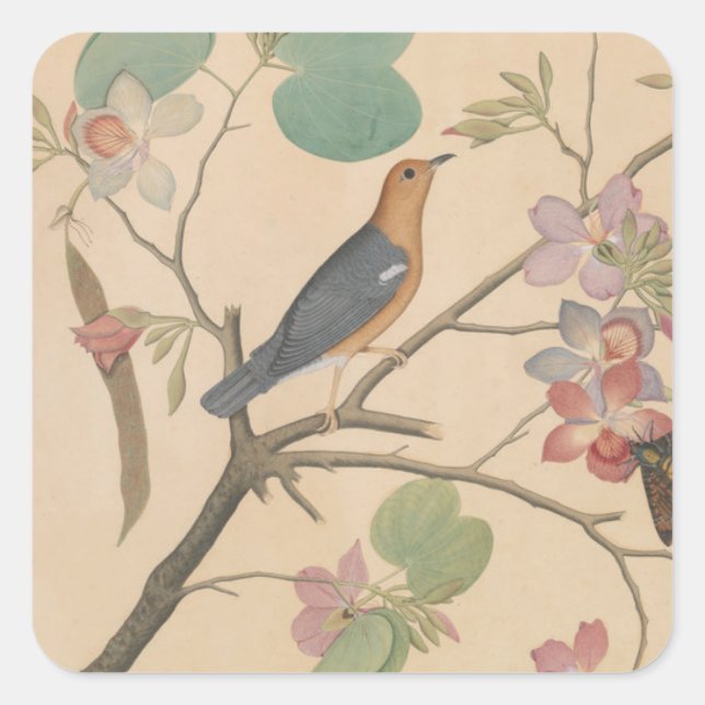 Adesivo Quadrado Thrush e Moth no chão das orquídeas (Frente)