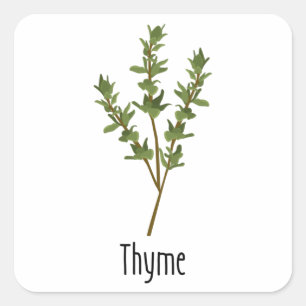 Adesivo Quadrado Thyme Spices Herb