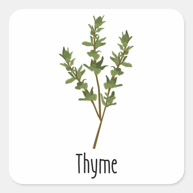 Adesivo Quadrado Thyme Spices Herb (Frente)
