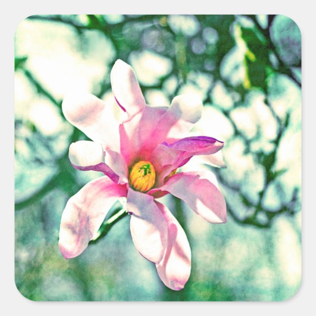 Adesivo Quadrado Tiffany Magnolia (Frente)