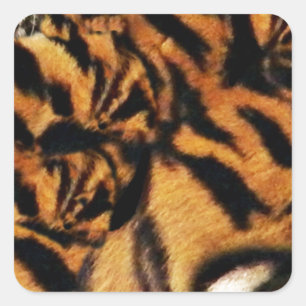 Adesivo Quadrado Tiger Love