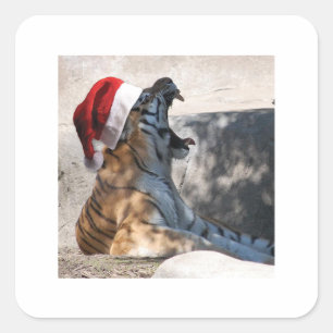 Adesivo Quadrado Tigre de Bengal que veste um chapéu do papai noel
