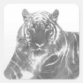 Adesivo Quadrado Tigre Preto e Branco