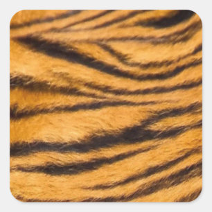 Adesivo Quadrado Tigre Stripes Pele Preto e Laranja Personaliza